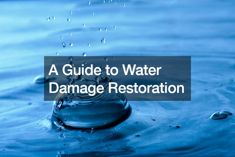 A Guide to Water Damage Restoration